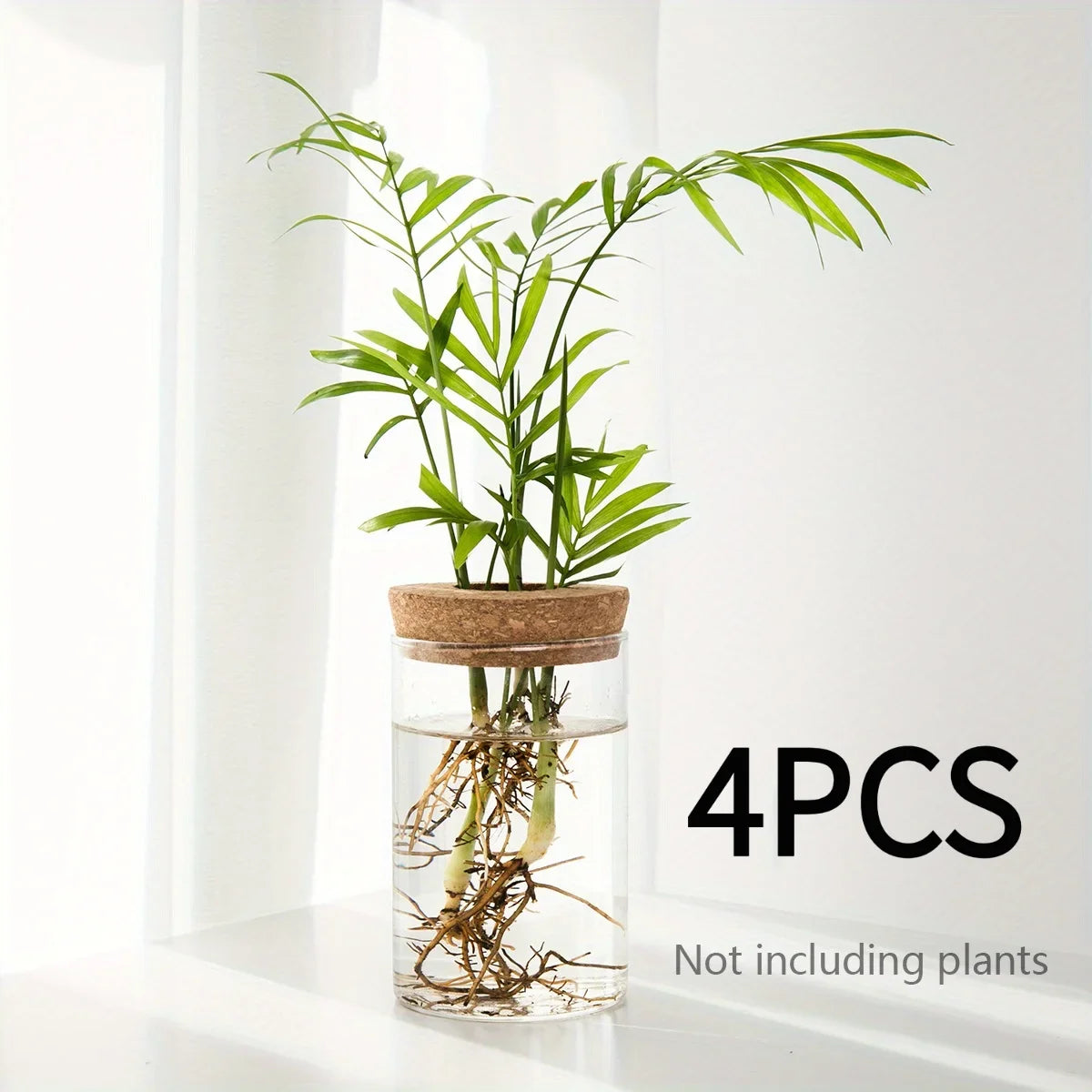 Glass Hydroponic Plant Vase